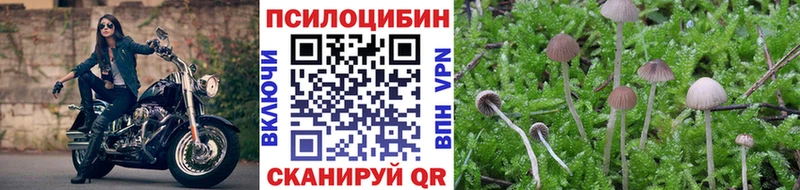 Галлюциногенные грибы MAGIC MUSHROOMS  Будённовск 